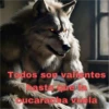 Todos son valientes hasta que la cucaracha vuela