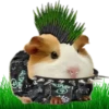 Hamsters Soldados💞1🇵🇪Clásica 27