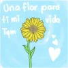 flores Amarillas 2024❤🌼 28