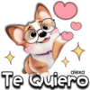 Lindo Tui Nui 🐶💖 29