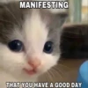 hehe 26