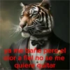 a wo pane pergel or a fiel no se me quiera quitar