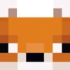 Minecraft mob faces 21