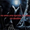 no eres una opción, res mi destino