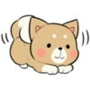 Pretty Puppy 3 27