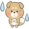 Pretty Puppy 1 28
