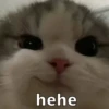 hehe 27