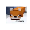 minecraft🔥 30
