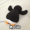 Pingu 🐧🐧 29