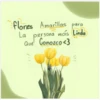 flores Amarillas 2024❤🌼 30
