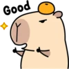 Pipi Capybara #1 30
