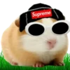 Hamsters Soldados💞1🇵🇪Clásica 30
