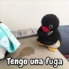 Pingu 🐧🐧 30