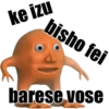 Laranjo_2 29