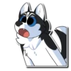 Kane Husky 5