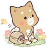 Pretty Puppy 5 5