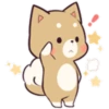 Pretty Puppy 5 6