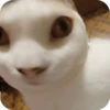 СЛАДОСТЬ ОТ @YeaahxDD ➡️ 7