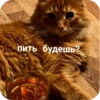 XDhkzEr_by_achestickbot 9