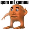 Laranjo_3 10