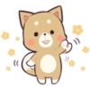 Pretty Puppy 5 10