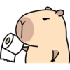 Pipi Capybara #2 6