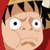 Monkey D Luffy 8