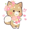 Pretty Puppy 5 11