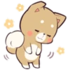 Pretty Puppy 5 12