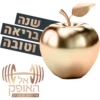 שנה טובה! 12