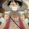 Monkey D Luffy 9