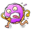 Donuts 14