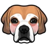 Daisy 6