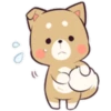 Pretty Puppy 5 14