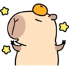 Pipi Capybara #2 9