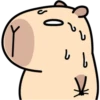 Pipi Capybara #2 10