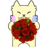 Puppy 16