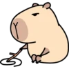 Pipi Capybara #2 11