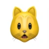 Catmoji (All) 8