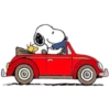 PEANUTS 15
