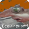 ChuckyStic 5