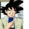 Goku and Kakarott 9