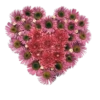 Loveui 11