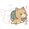 Pretty Puppy 5 17