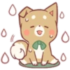 Pretty Puppy 7 17