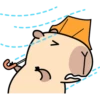 Pipi Capybara #2 12