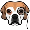 Daisy 7