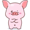 Cutie Pig 1 17