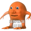 Laranjo_3 17