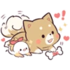 Pretty Puppy 5 19